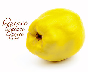Image showing Perfect Ripe Quince