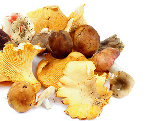 Image showing Raw Forest Mushrooms