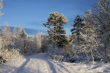 Image showing Winter road