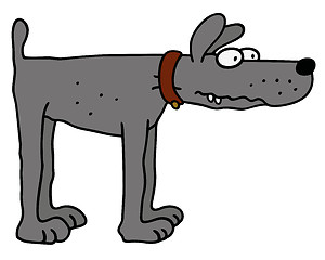 Image showing Funny gray dog