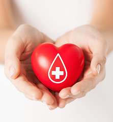 Image showing female hands holding red heart with donor sign