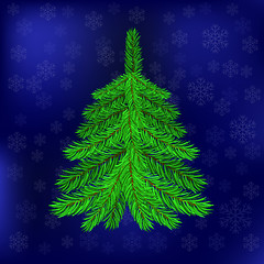 Image showing Green Fir on Blue Snowflakes Background