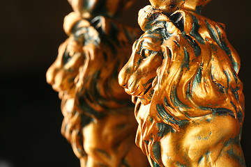 Image showing Two Golden Lions