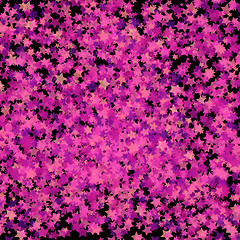 Image showing Pink Transparent Stars