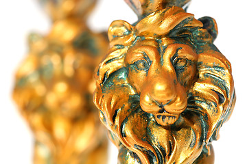 Image showing Two Golden Lions