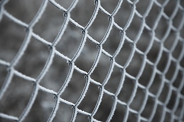 Image showing Winter Fence