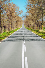 Image showing Road in Early Spring