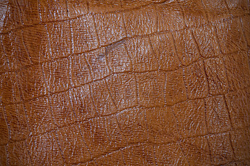 Image showing crocodile skin imitation