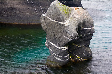 Image showing Rock half-man: natural analogue of man-tree with paintings of Hieronymus Bosch \