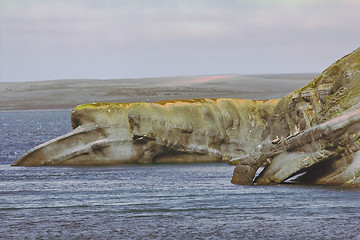 Image showing The Cape whale in the Barents sea, Novaya Zemlya archipelago, South island