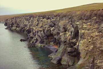 Image showing Plot of giant (15 km, 220 thousand guillemots) seashore bird colony on Southern island, Novaya Zemlya. Barents sea