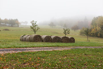 Image showing haystacks or hay rolls on summer field