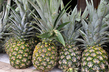 Image showing Pineapple tropical fruit