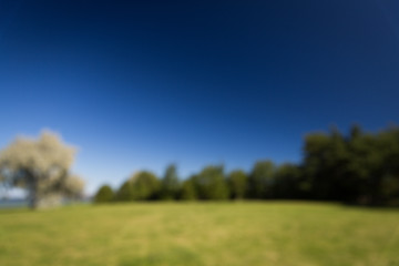 Image showing blurred summer field and blue sky background