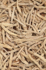 Image showing Dry Ginseng roots  