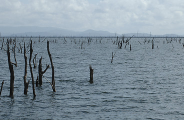 Image showing Lake Afobaka