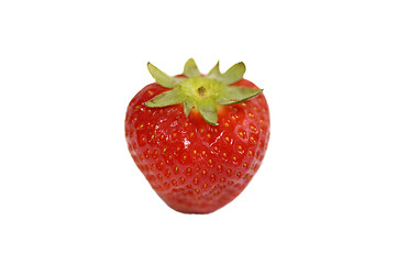 Image showing Strawberry