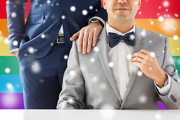 Image showing close up of male gay couple with wedding rings on