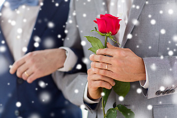 Image showing close up of happy male gay couple holding hands