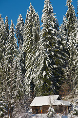 Image showing small cabin covered with fresh snow