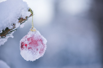 Image showing christmas balls on tree