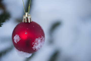 Image showing christmas balls on tree