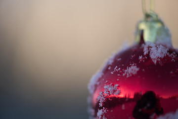 Image showing christmas balls on tree