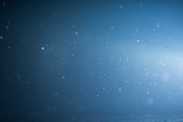 Image showing falling snow