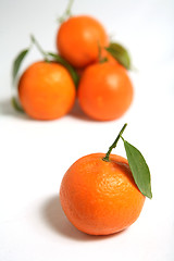 Image showing Clementine closeup on tablecloth