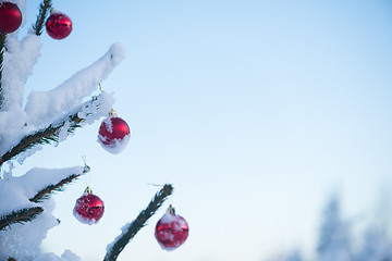 Image showing christmas balls on tree