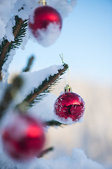 Image showing christmas balls on tree