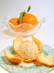 Image showing Peeled tangerine on plate_0154