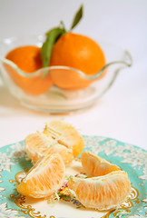 Image showing Tangerine segments on plate