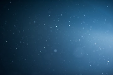 Image showing falling snow