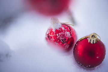 Image showing christmas balls on tree