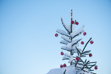 Image showing christmas balls on tree