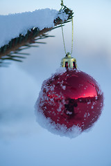 Image showing christmas balls on tree