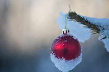 Image showing christmas balls on tree