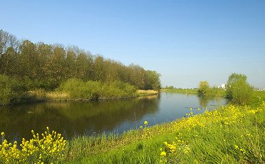 Image showing Polder landscape