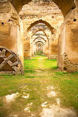 Image showing   the green grass and   wall