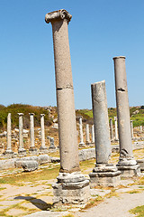 Image showing  in  perge old construction  the column    roman temple 