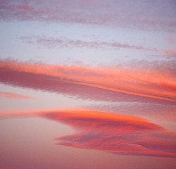 Image showing sunrise in the colored sky white soft clouds and abstract backgr