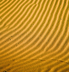 Image showing the brown sand dune in the sahara morocco desert 