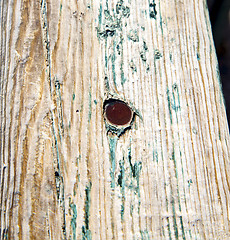 Image showing metal nail dirty stripped paint in the brown wood door and rusty