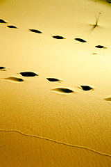 Image showing red footstep  brown sand dune   sahara  