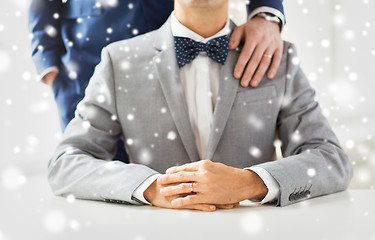 Image showing close up of male gay couple with wedding rings on