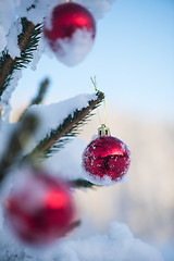 Image showing christmas balls on tree