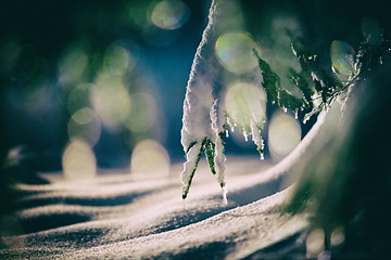 Image showing tree covered with fresh snow at winter night