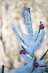 Image showing christmas balls on tree