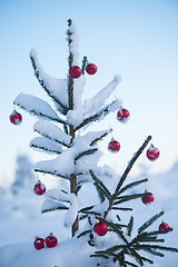 Image showing christmas balls on tree